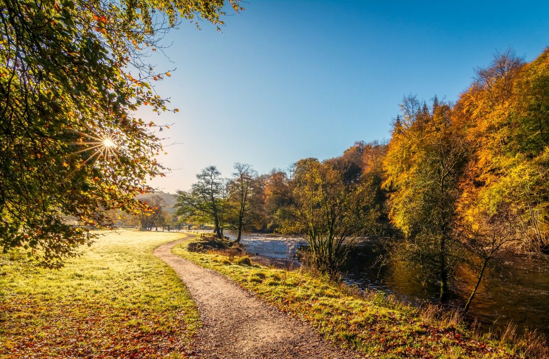 Join in with Yorkshire Day!