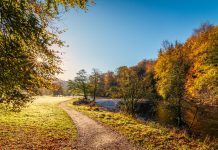 Join in with Yorkshire Day!