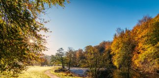 Join in with Yorkshire Day!