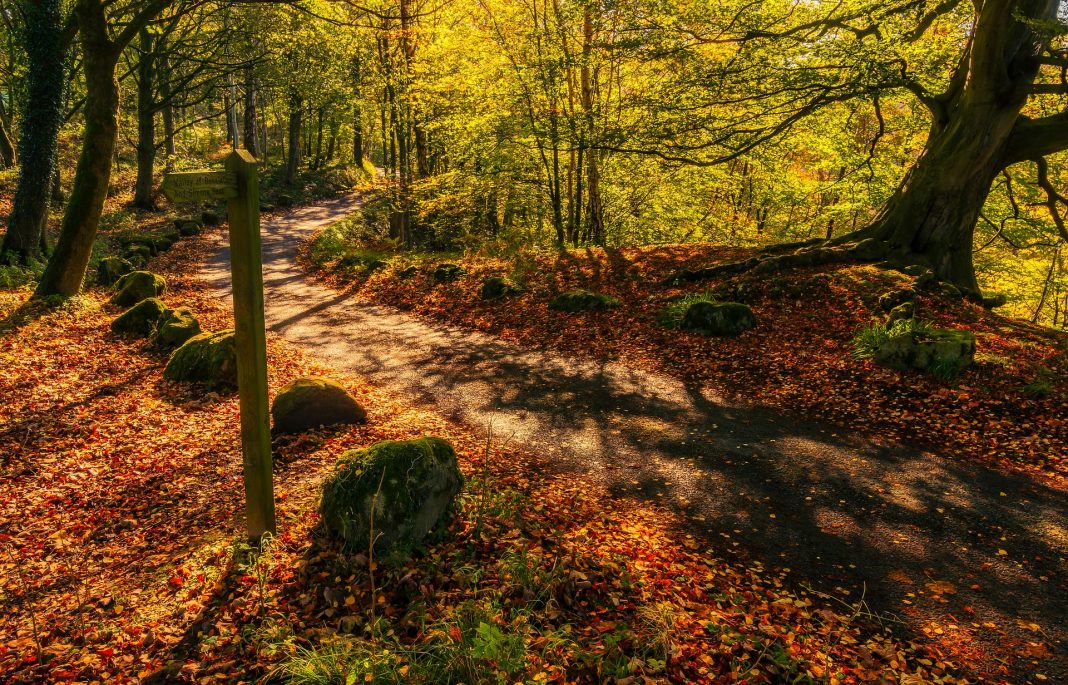 Spend a Day in Robin Hood’s Bay